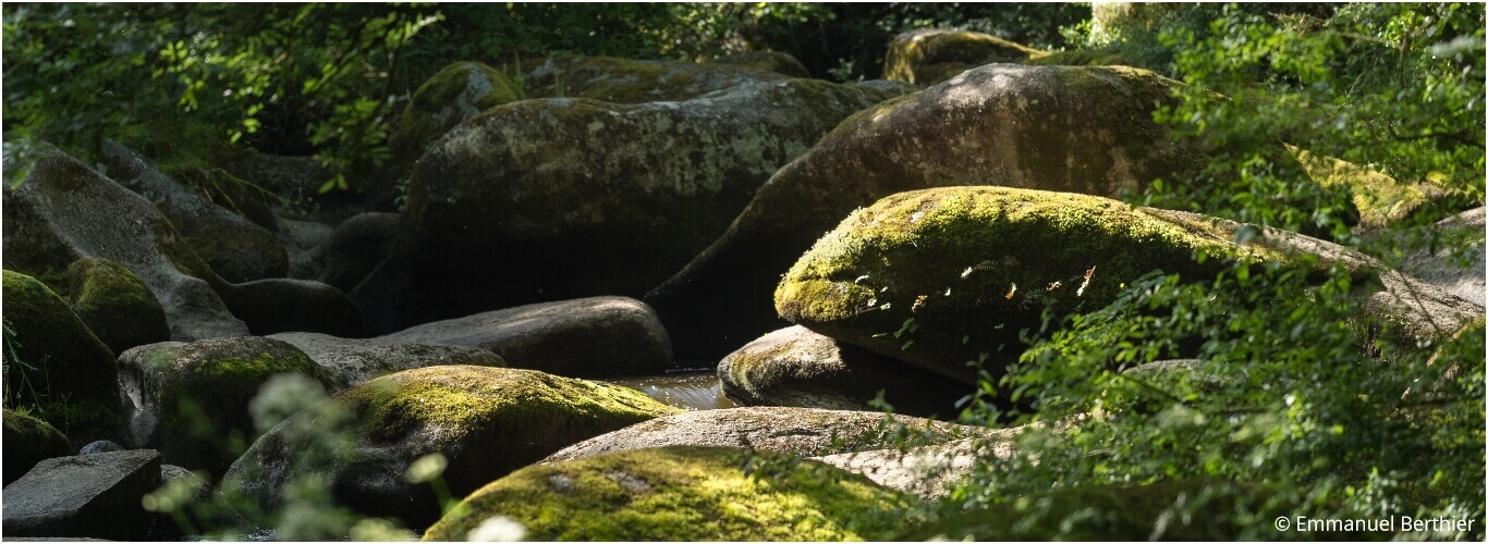 Les terres Bretonnes