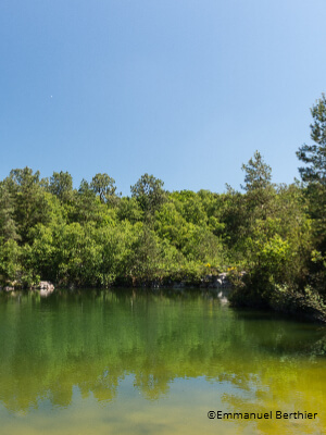 Walk in the forest of Avaugour - Bois Meur